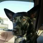 the_big_dee_ profile picture