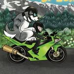 the_bike_dog profile picture