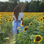 the_black_fanny_dashwood profile picture