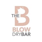 theblowdrybarmiami profile picture