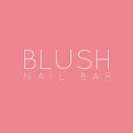 theblushnailbar profile picture