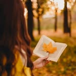 the_book.readers profile picture