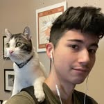 thebrandchu profile picture