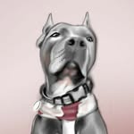 thebullhikes profile picture
