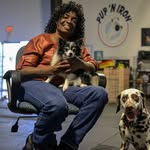 thecaninediva profile picture