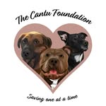 thecantufoundation profile picture