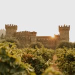 thecastello profile picture