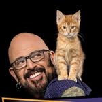 thecatdaddy profile picture