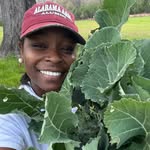 the_charleston_farm profile picture