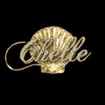 thechellebrand profile picture