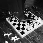 thechessclubarchives profile picture