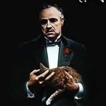thecinemanerd.ig profile picture
