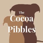 thecocoapibbles profile picture