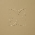 thecomocollection profile picture