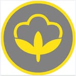 thecottonstory profile picture