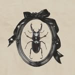 the_creative_rat profile picture