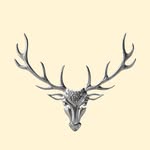 thedalmore profile picture
