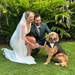thedanistorey profile picture