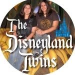 thedisneylandtwins profile picture