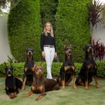 thedobieteam profile picture