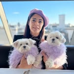 the_doggie_days profile picture
