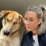 thedognamed.leo profile picture