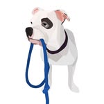 thedogpiglet profile picture