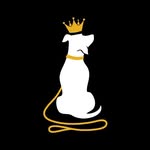 thedogslandinghouse profile picture