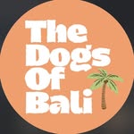 thedogsofbali profile picture