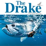 thedrakemagazine profile picture