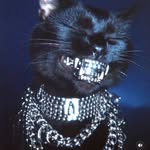 theecyberkitty profile picture