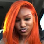theegabriellevictoria_ profile picture