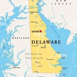 theentirestateofdelaware profile picture