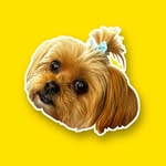 thee_ponytailqueen profile picture