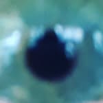 thee_professional profile picture