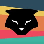 thefelinefoundation profile picture