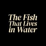 thefish_film profile picture