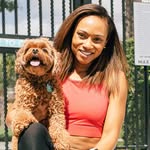 thefitdogmom profile picture