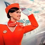 theflightattendantlife profile picture