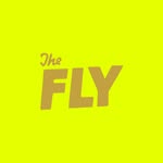 theflybrooklyn profile picture
