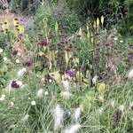 thegardenedit profile picture