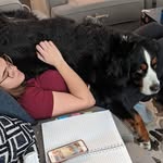 thegirlwithallthedoggos profile picture