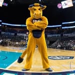 thegoldenbullsconnection profile picture