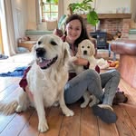 thegoldengirlsofsomerset profile picture