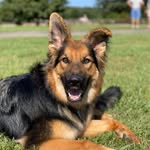 thegoodgirlgrace profile picture