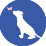 thegoodlifedogrescuenyc profile picture
