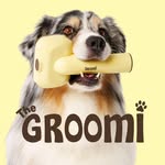 thegroomi profile picture