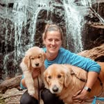thegrumpygolden profile picture
