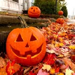 the_halloweencoven profile picture
