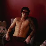 thehollywoodhills profile picture